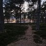 Samiesam
