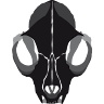 crazzity