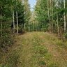 Hässleskog