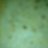Nicko991