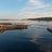 vårvik