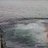 Emill_86