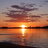 Robin_91