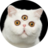 snabelskor