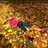 Stina-